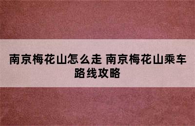 南京梅花山怎么走 南京梅花山乘车路线攻略